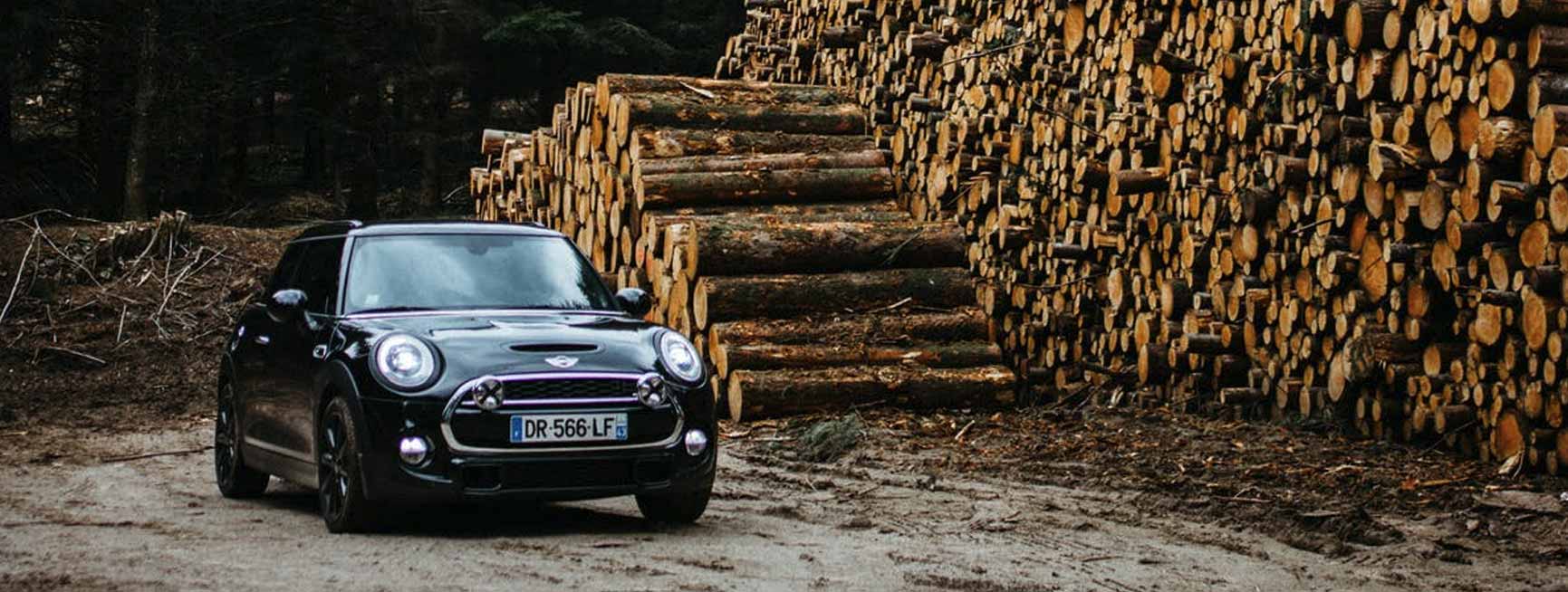 Black mini